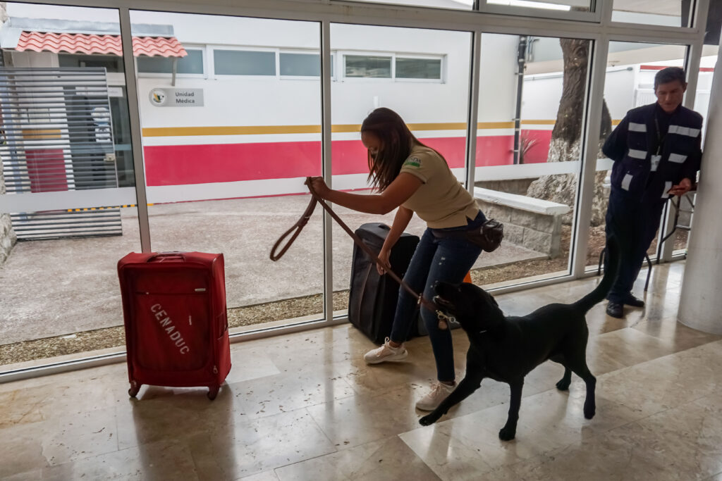 Capacitan instructores caninos de Honduras y Nicaragua
