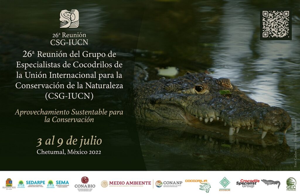 En Chetumal se reunirán  expertos en cocodrilos 
