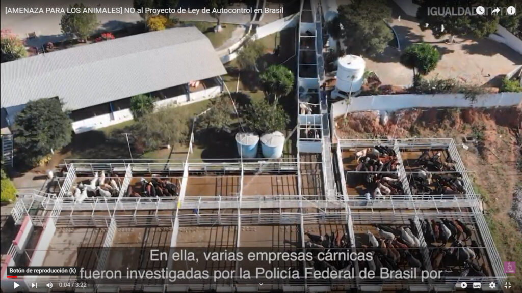 Ley en Brasil podría dejar sin inspección a mataderos