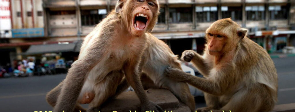 OMS: vínculo entre Cambio Climático y viruela del mono