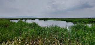 El Lago de Texcoco entra a la  Lista como Sitio Ramsar 