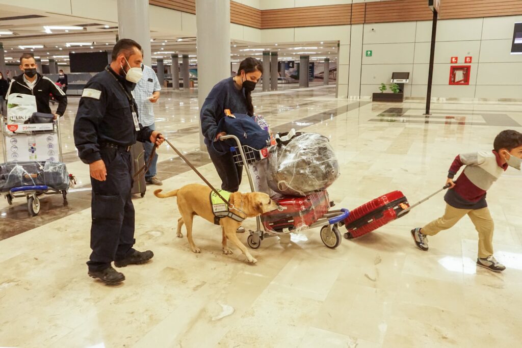 Designan a Escuela Canina de Senasica como Referencia 