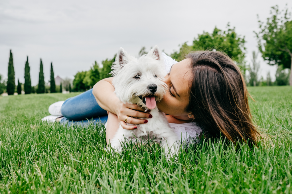 Cinco motivos para agradecer a tu perro  