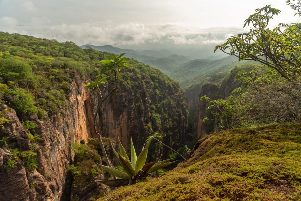 Valle de Tehuacán-Cuicatlán en Lista- Patrimonio Mundial