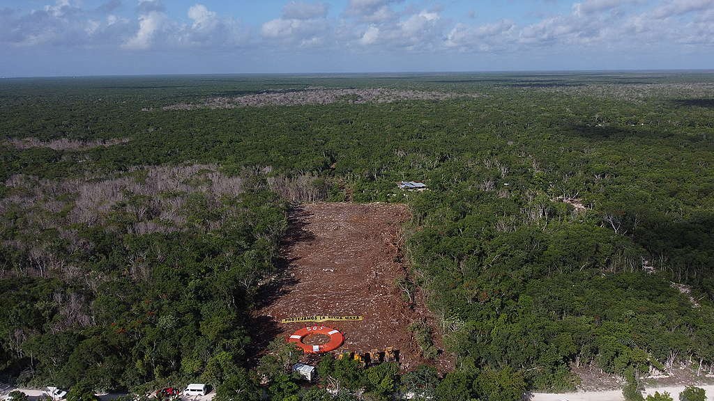 Megaproyecto hotelero de Grupo Xcaret amenaza selva