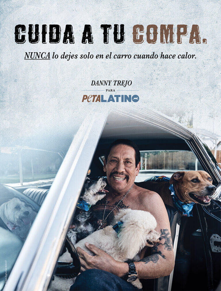 Danny Trejo y PETA Latino Tienen un Mensaje Caliente 