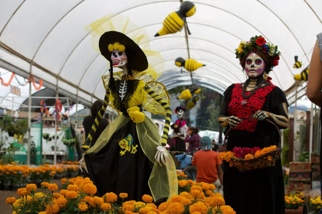 Aumenta producción de flor de cempasúchil 