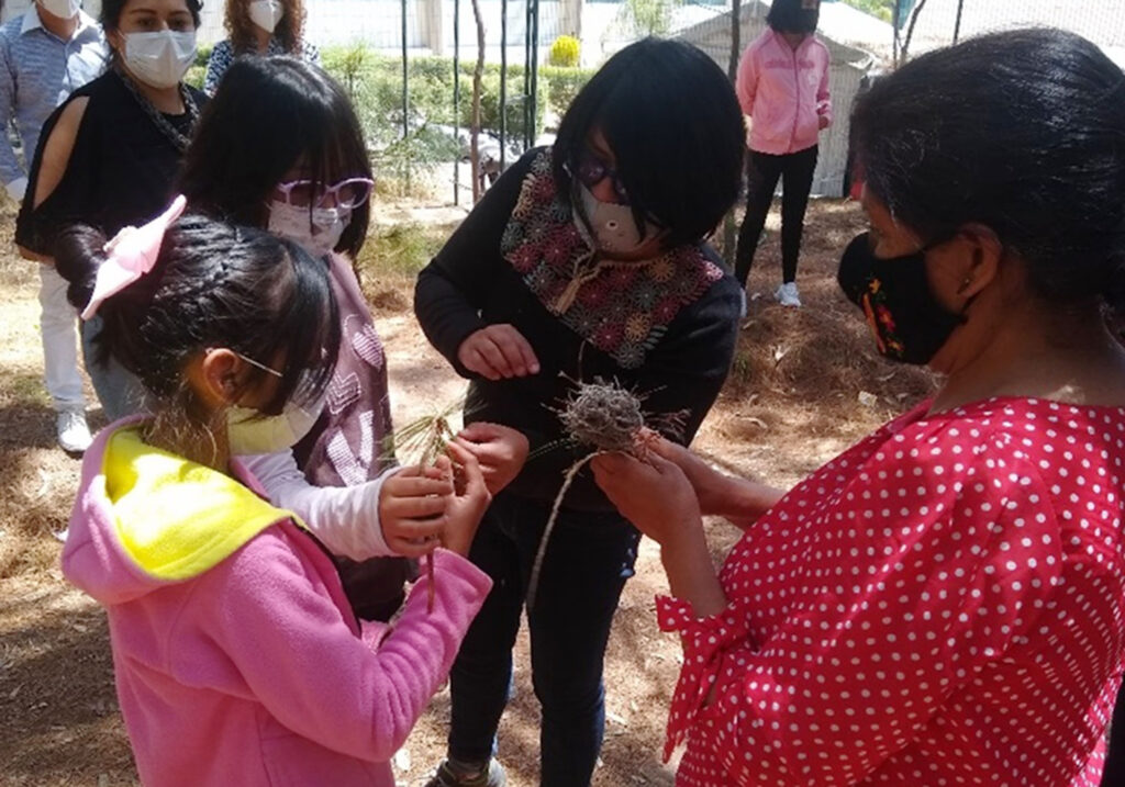 Motivan en niñas rurales vocación por las ciencias