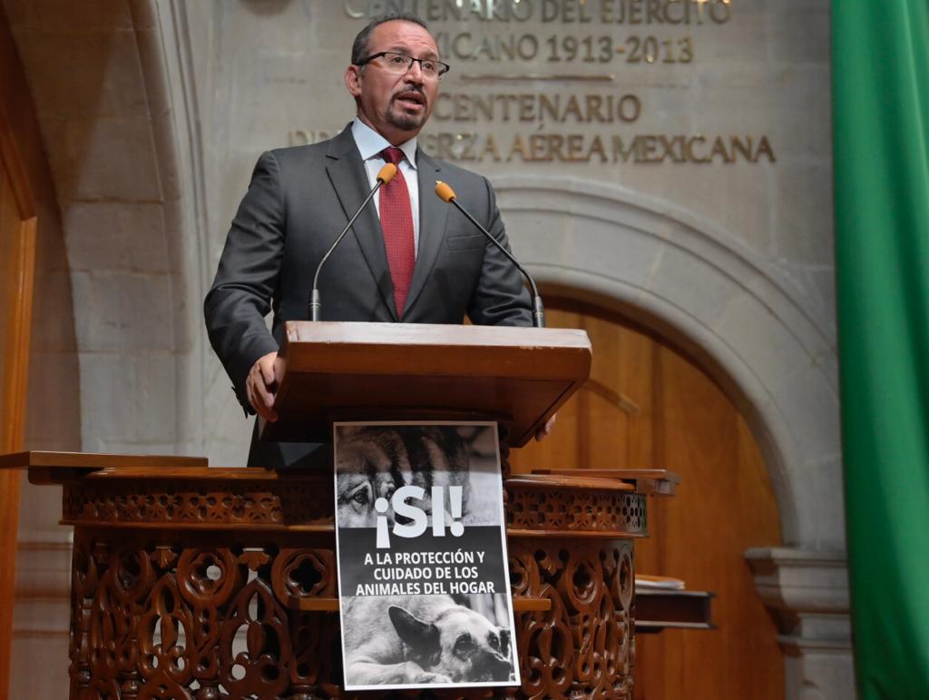 Promueve PRD mexiquense ley para proteger animales 