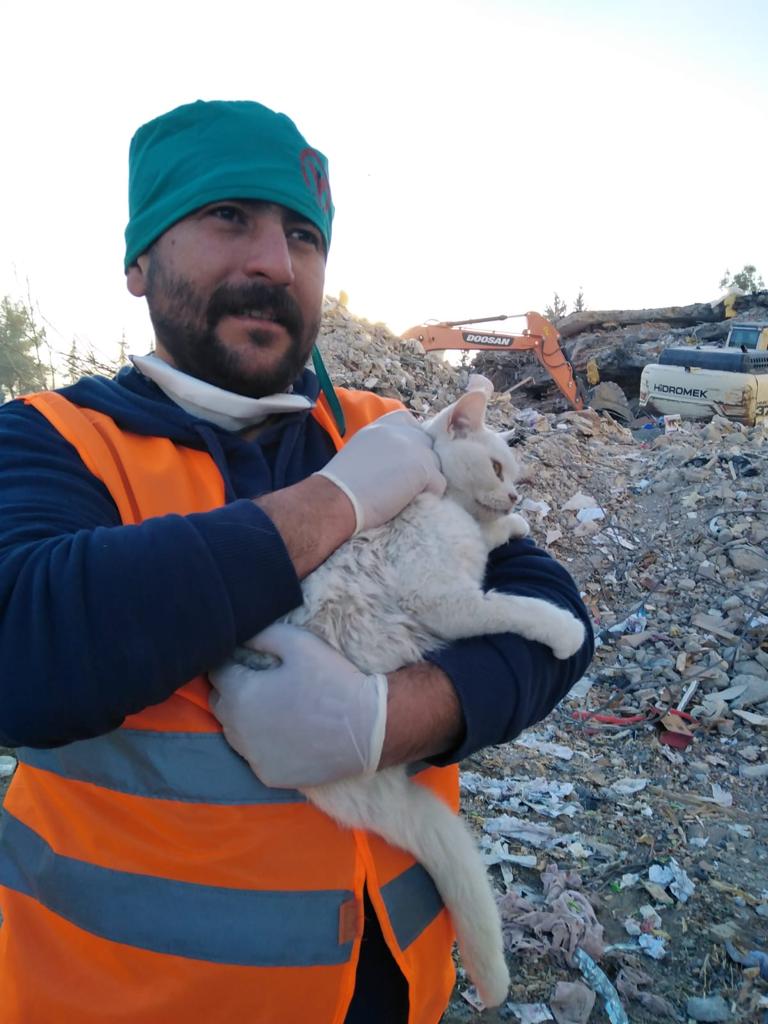 HSI ayuda a animales heridos por terremoto en Turquía 