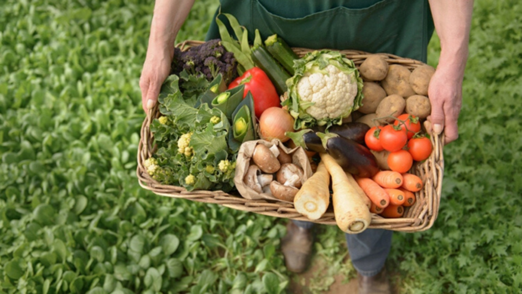 Se desploma saldo comercial agroalimentario 