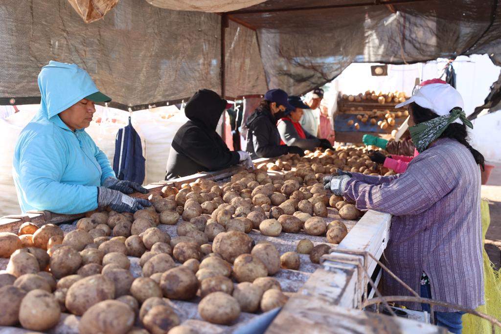 Se desploma saldo comercial agroalimentario 