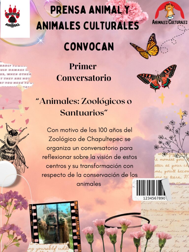 Conversatorio “Animales: Zoológicos o Santuarios”