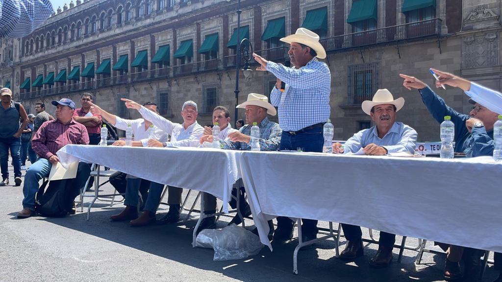 Necesario apoyar sector agrícola ante caída de granos 