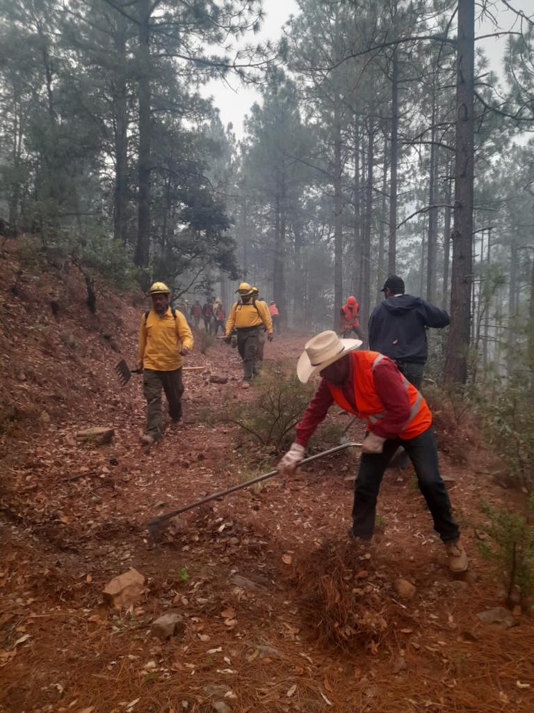 Controla Conafor incendios forestales en Madera