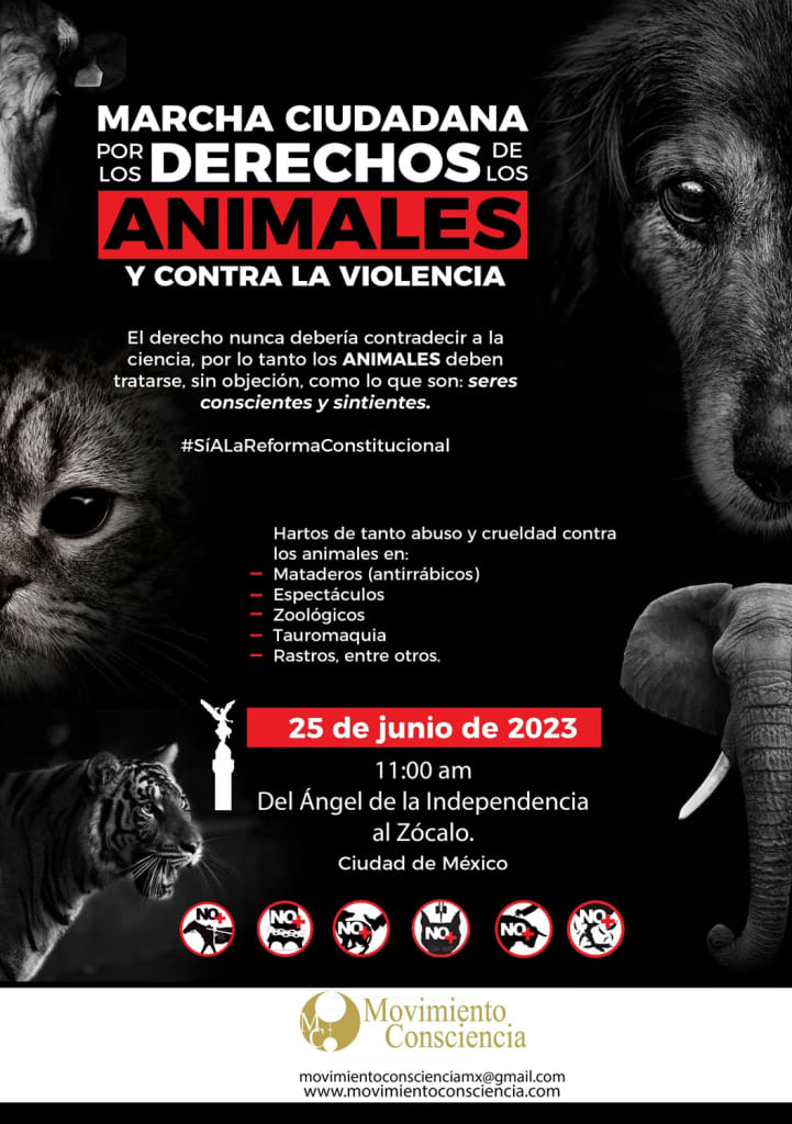 Marcha animalista debe responder al derecho animal