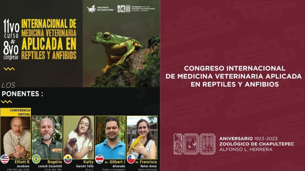 Se realiza Congreso veterinario sobre reptiles 
