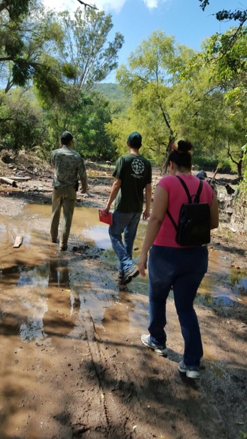 Temporada de huracanes…No olvides a tus animales