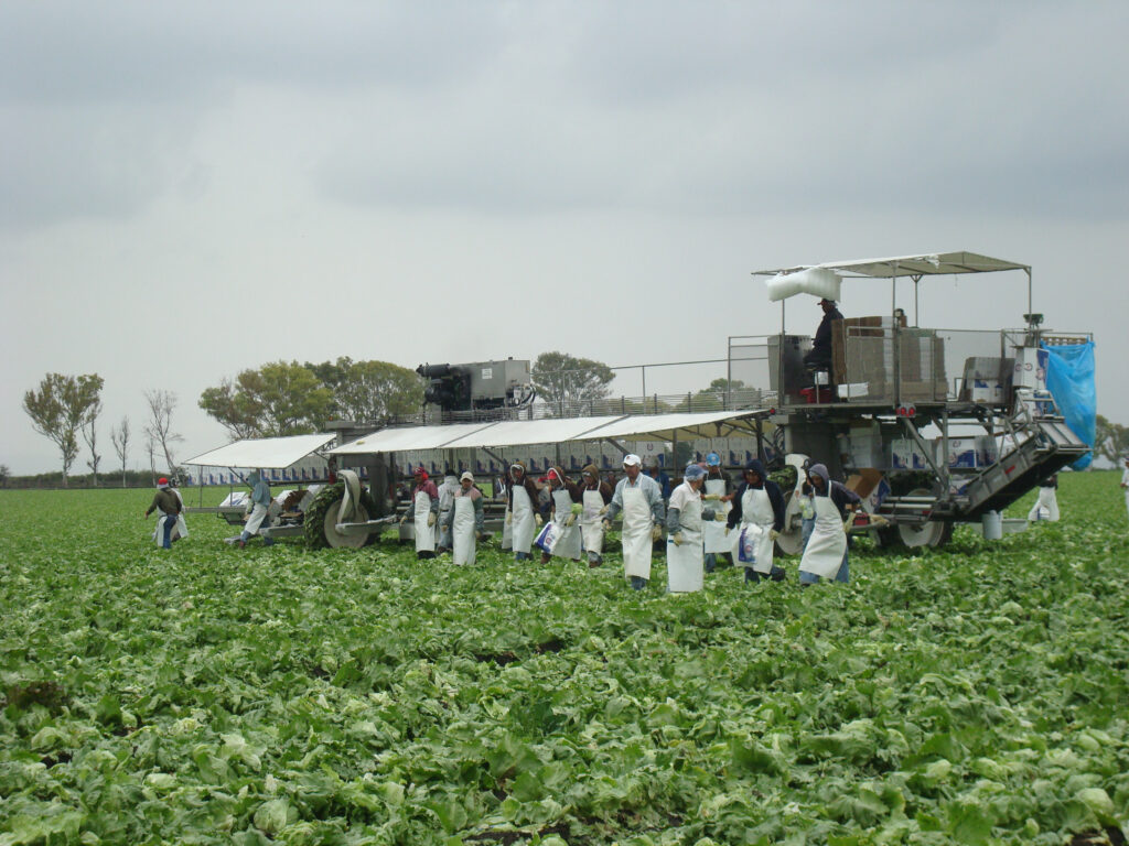 Realizan secuenciación de genoma en alimentos 