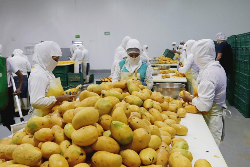 Realizan secuenciación de genoma en alimentos 