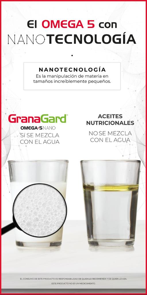 Omega 5 nanoemulsionado ayudaría a prevenir el ictus