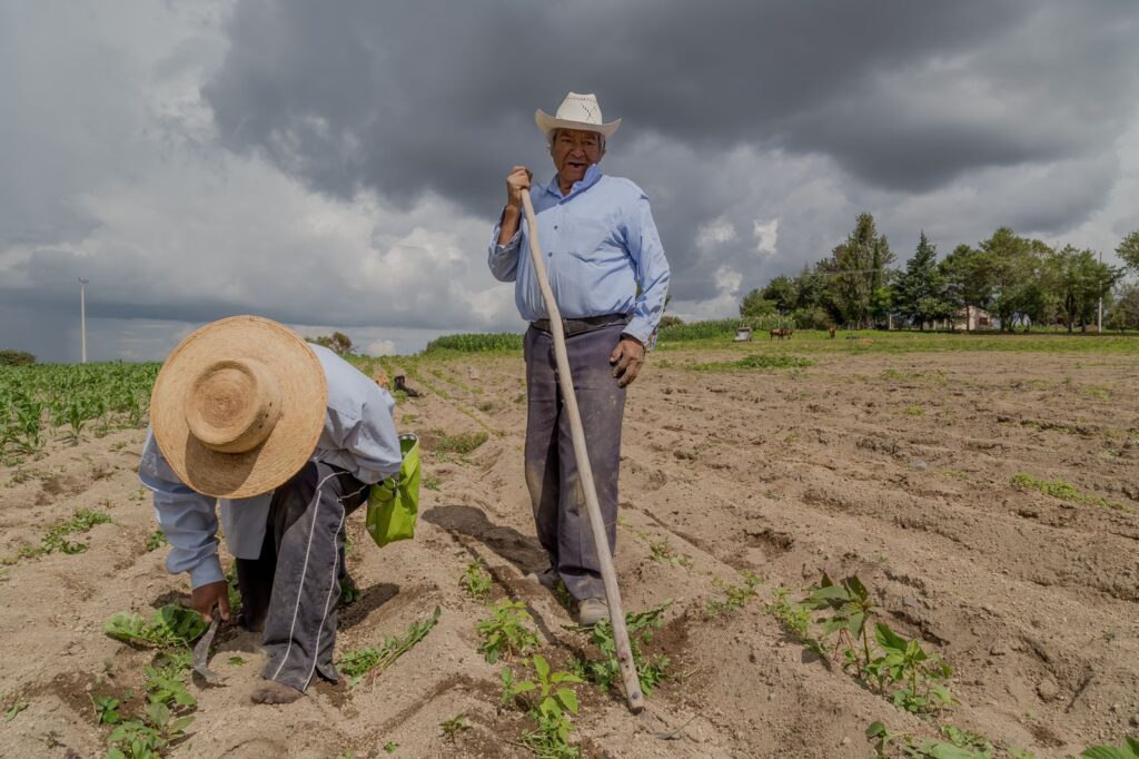 Envejecimiento del sector rural sin la tecnificación 