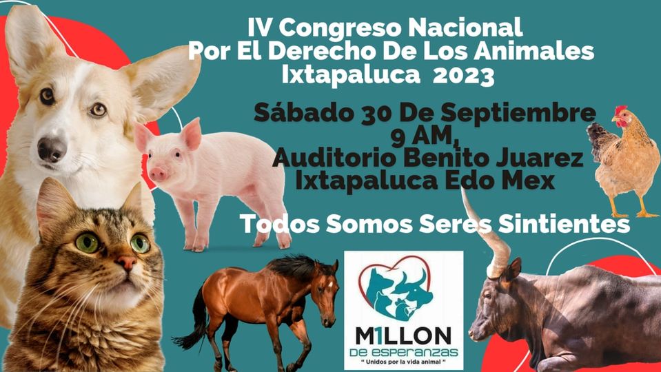 IV Congreso Nacional por el Derecho de los Animales