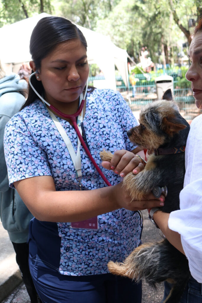 Fortalecen política de control natal de animales