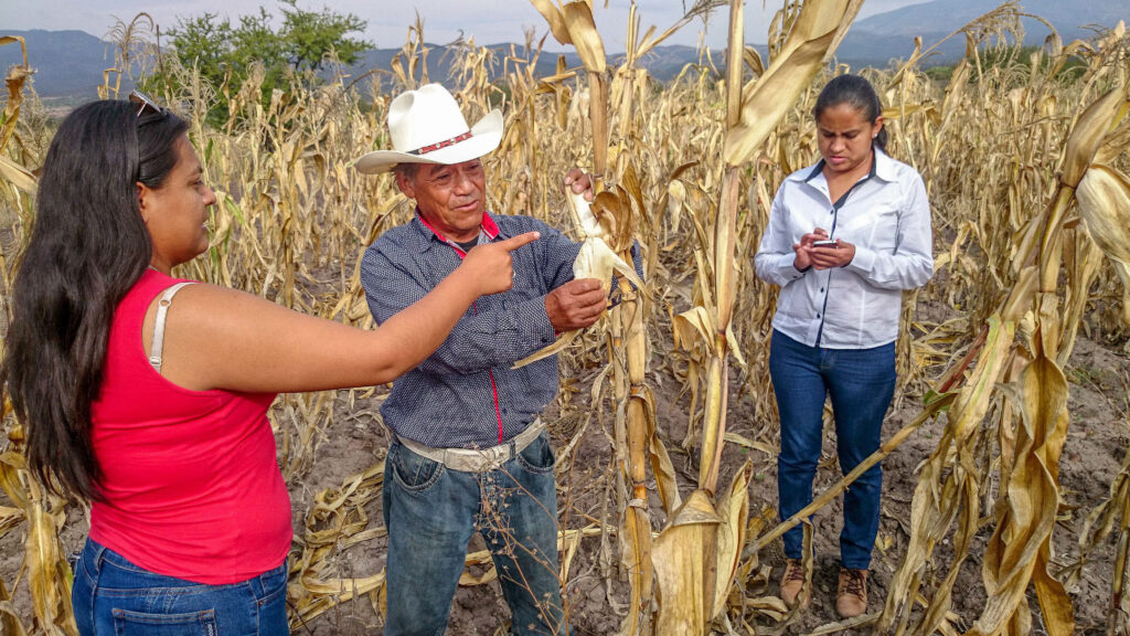 Analizarán alternativas por la seguridad alimentaria