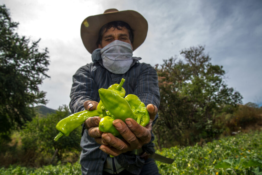 Analizarán alternativas por la seguridad alimentaria