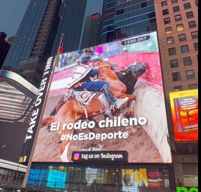 Proyectan en Times Square campaña contra rodeo 