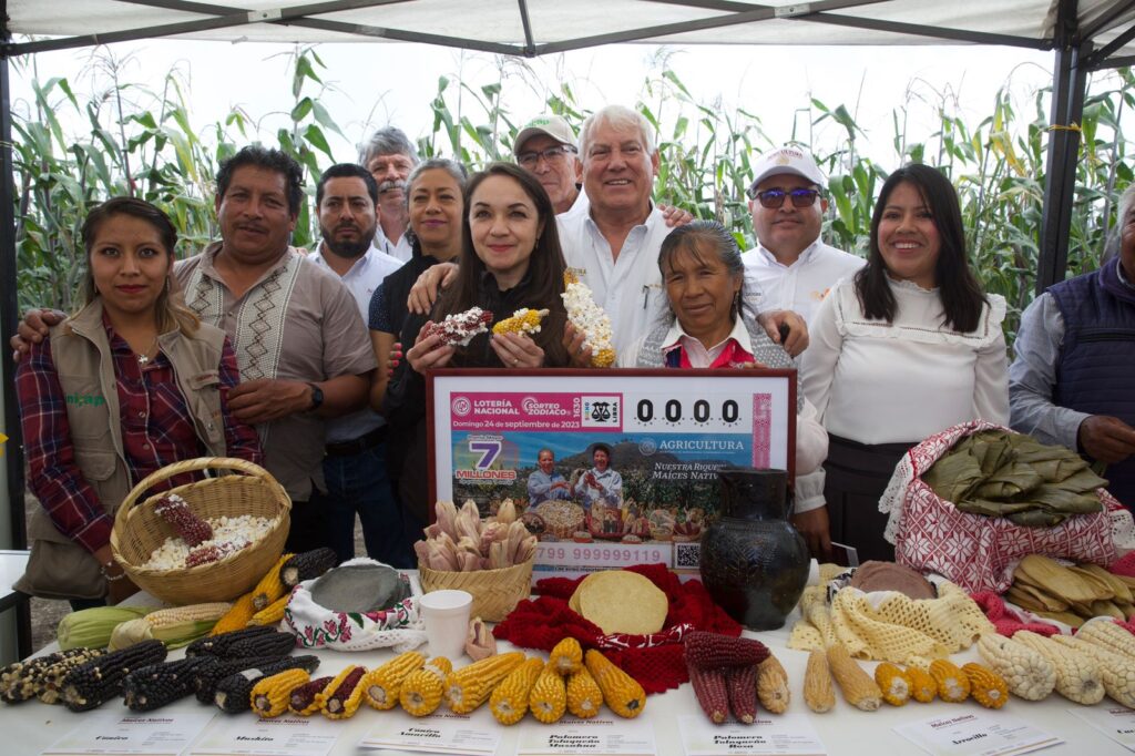 Trabajan comunidades en cultivo de maíz nativo