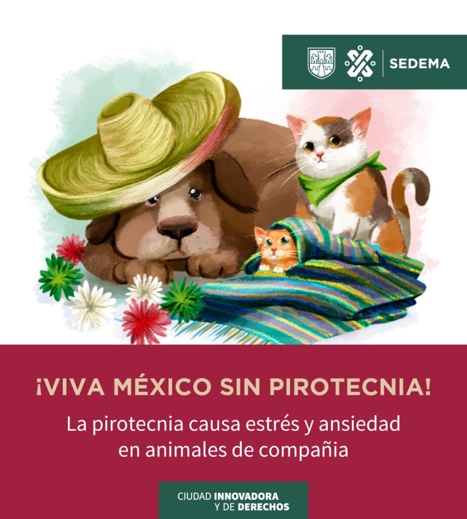 Pide Sedema gritar ¡Viva México! sin pirotecnia
