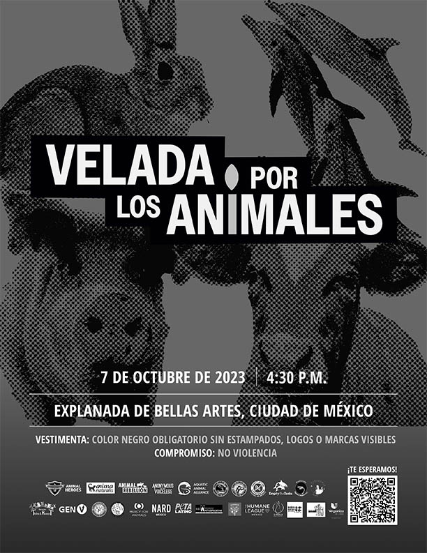 Se realizará una velada por los animales en Bellas Artes