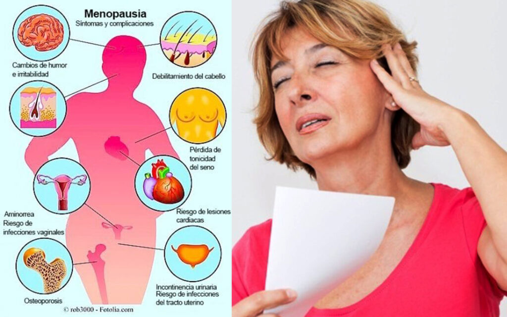 Es posible disfrutar la menopausia