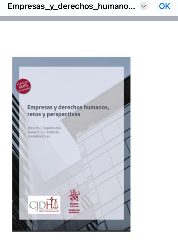 Reflexiones sobre empresas y los derechos humanos