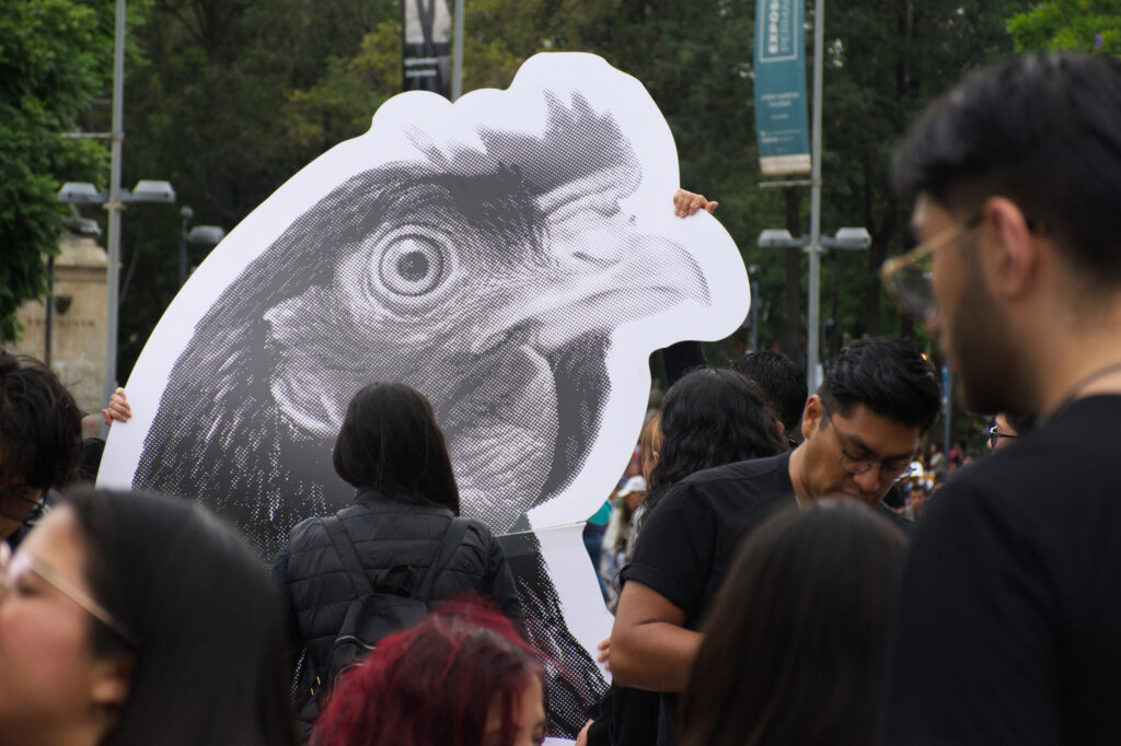 Velada por los animales exige la liberación animal