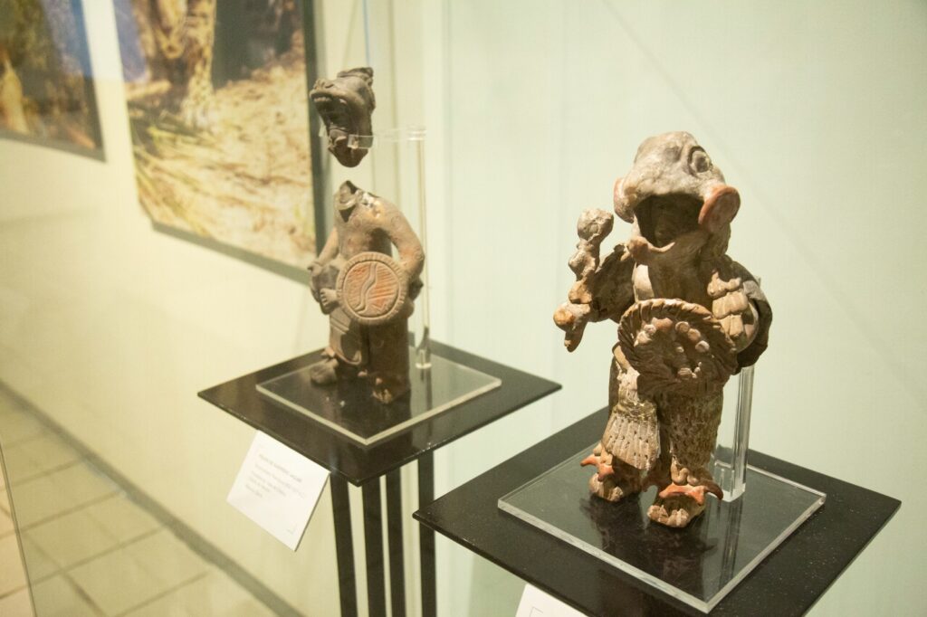 Visita la exposición “Fauna y Arqueología Mexiquense”