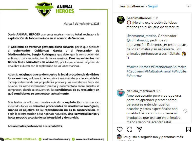 ¡No a la explotación de lobos marinos en Veracruz!