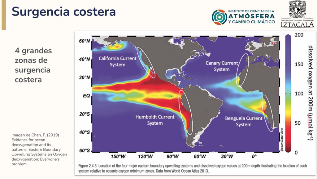 Pérdida de corales y temperaturas altas en 2024