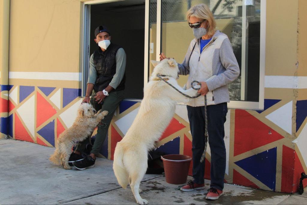 Invitan al taller de rehabilitación de perros ante pirotecnia