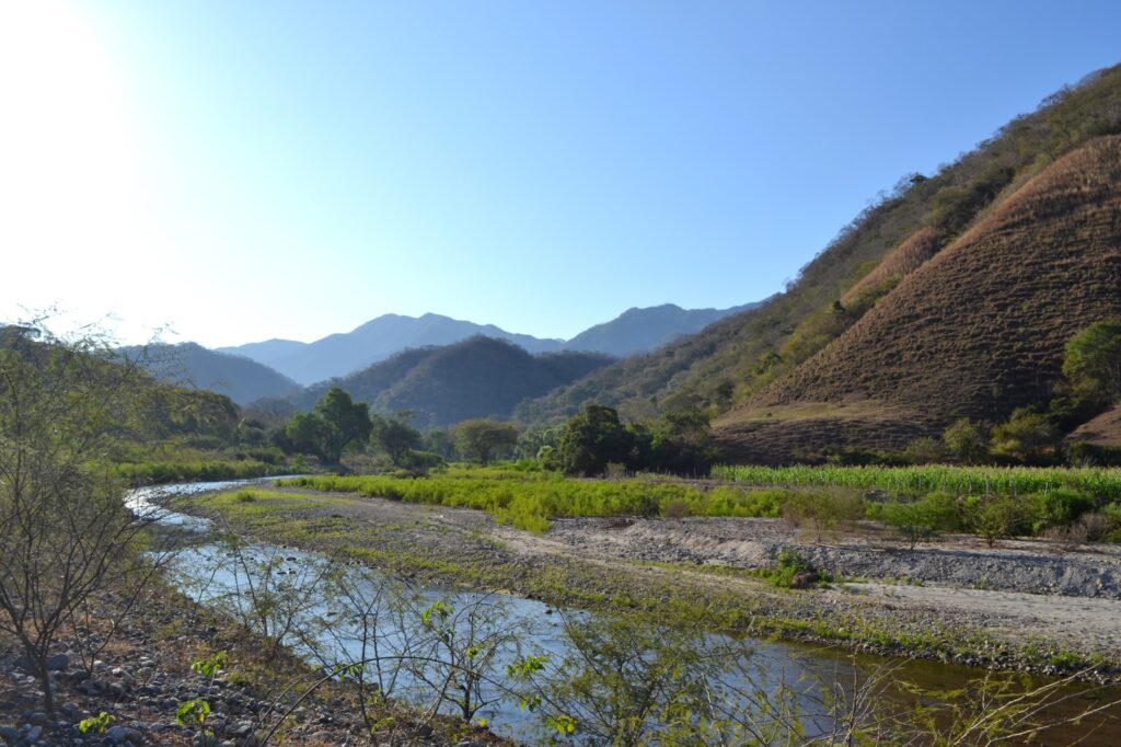Se protegerán bosques y selvas en Nayarit y Jalisco