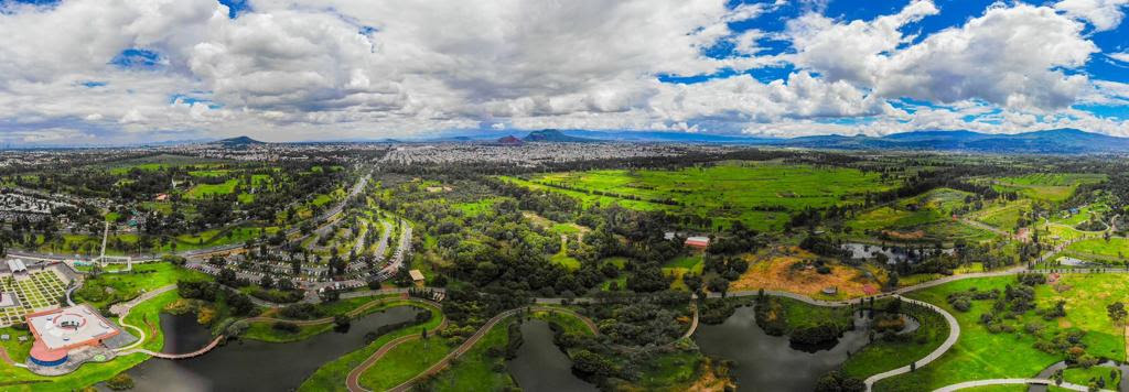 Instalan Centro de Acopio de Nochebuenas 