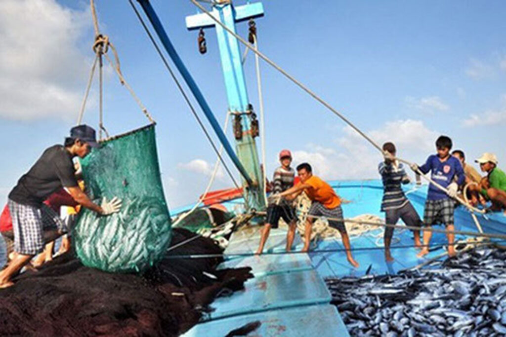 Combatir pesca irregular en México requiere información