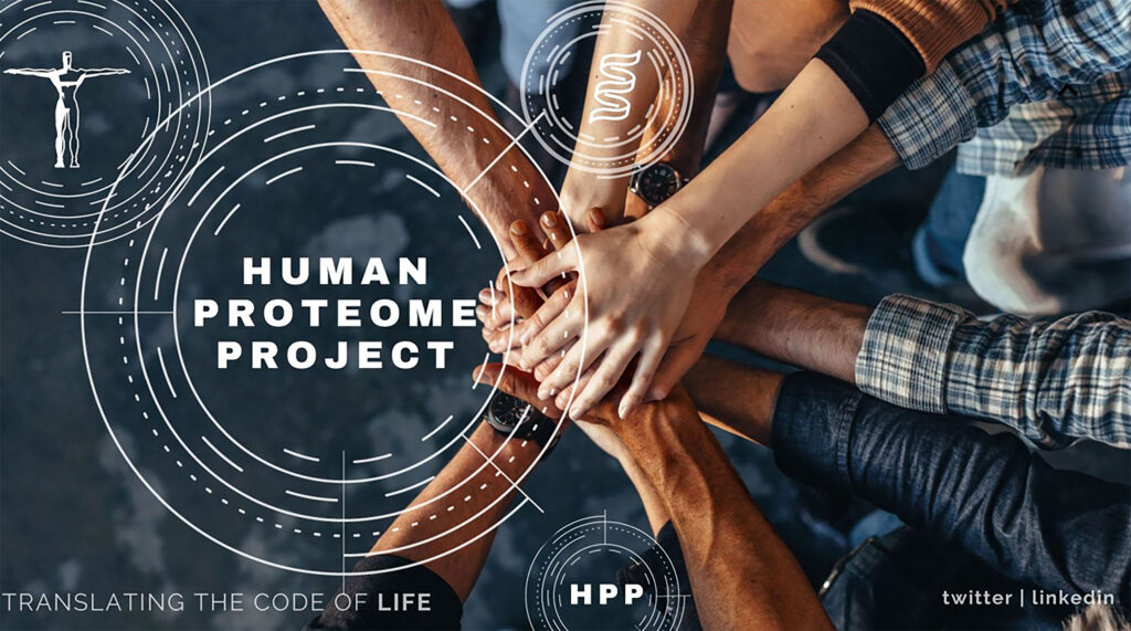Proteoma Humano contribuirá a medicina individualizada