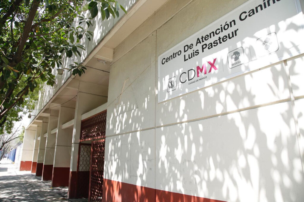 Centro Luis Pasteur brinda esterilización gratuita