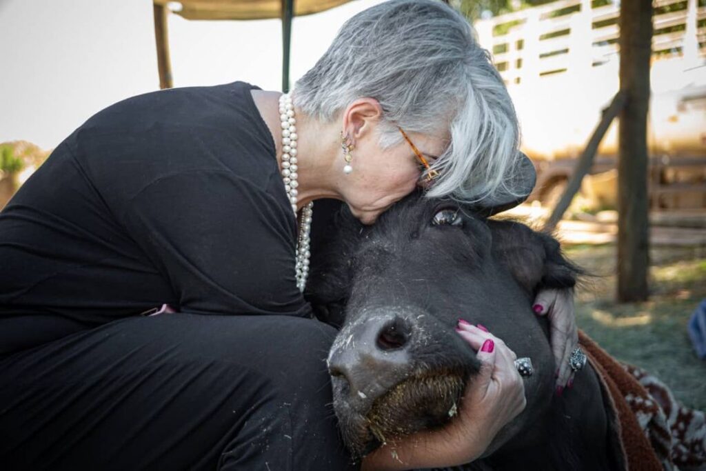 Nicole Neumann ayuda a 1000 búfalas rescatadas