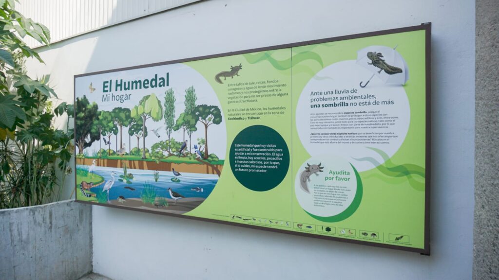 Mejoran instalaciones del Zoológico Chapultepec 