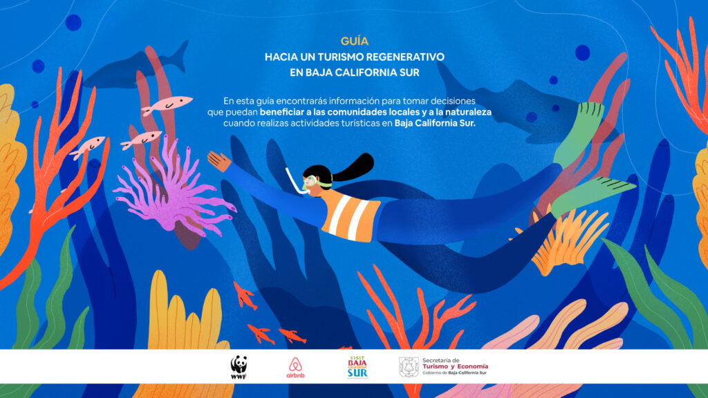Conoce las siete especies marinas de Baja California Sur 