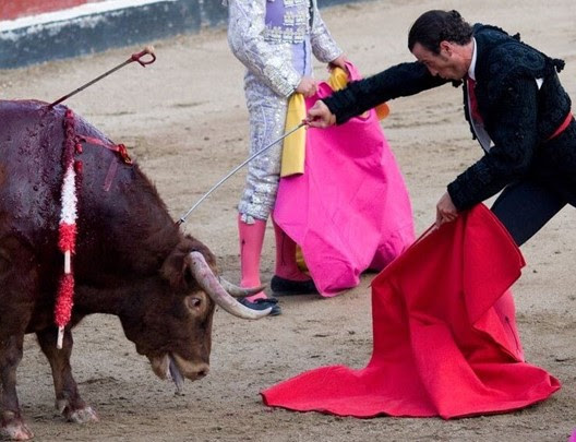 Suspenden corridas de toros en Benito Juárez